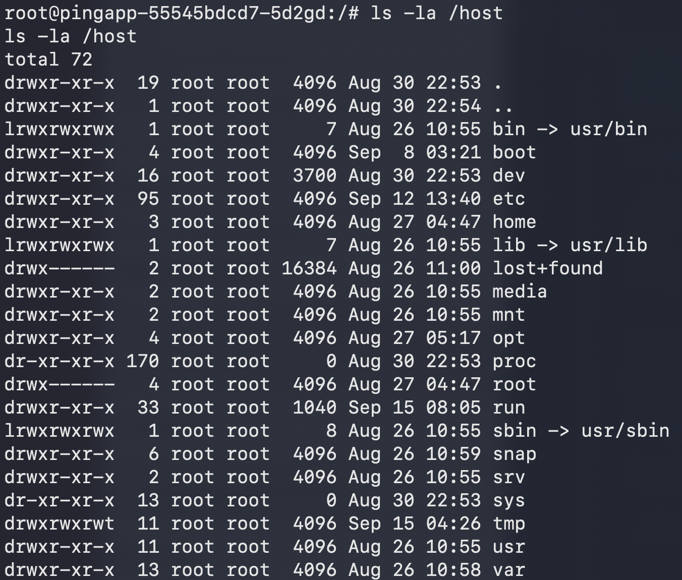 Listing the mounted host filesystem under /host